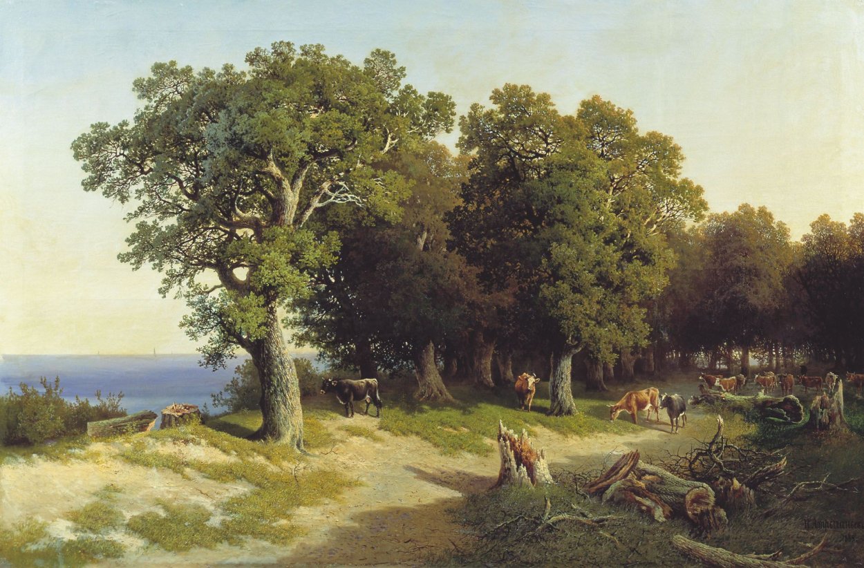 Дуб черешчатый Царицыно