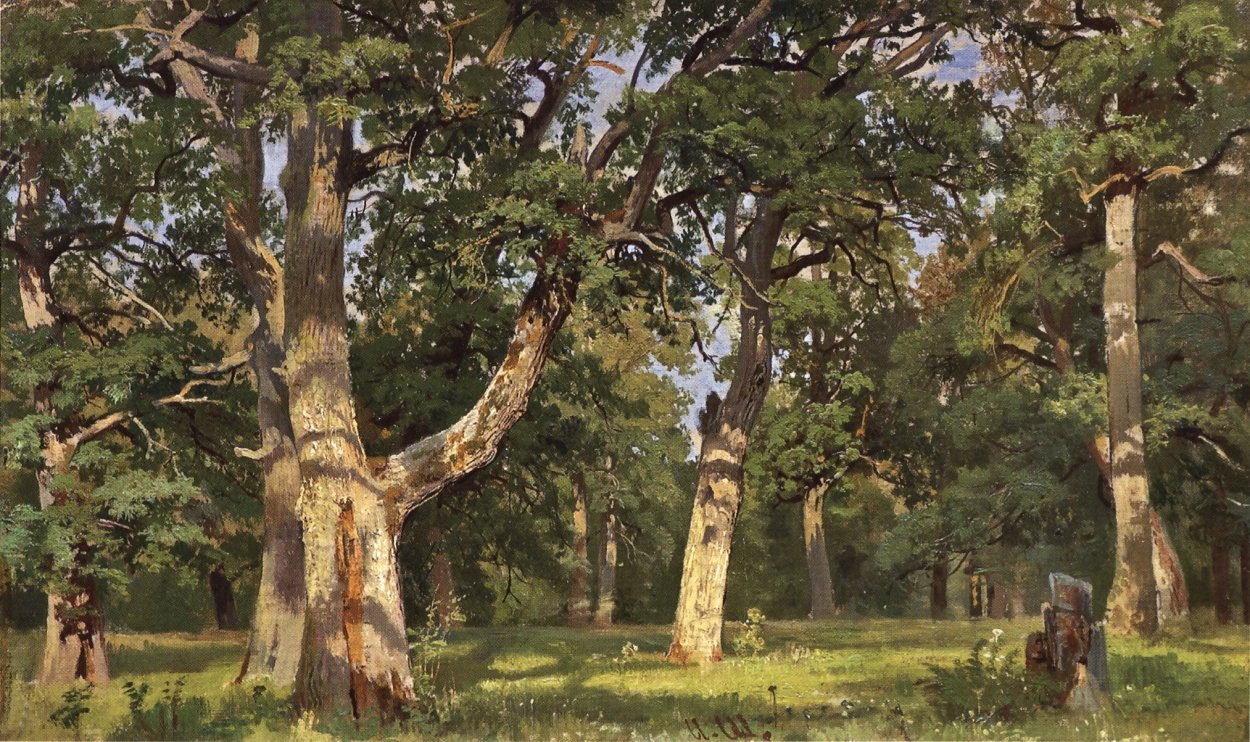 Лес дубовый Гай Самара