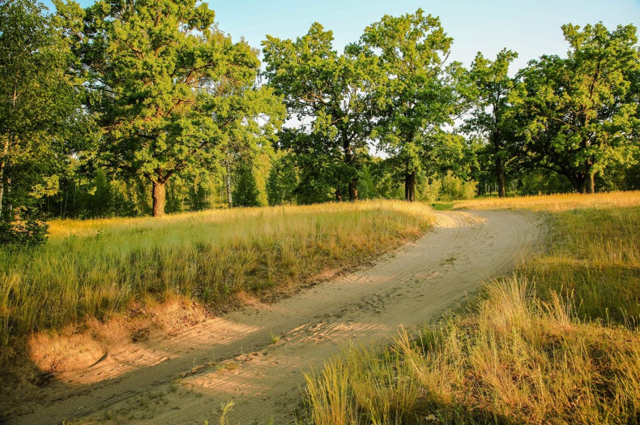 Дубовая роща Йошкар-Ола