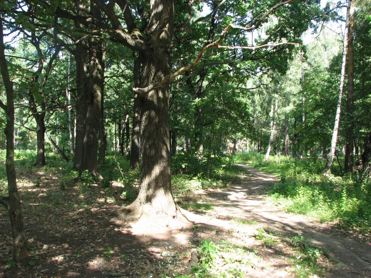 Дубовые Рощи Чувашии