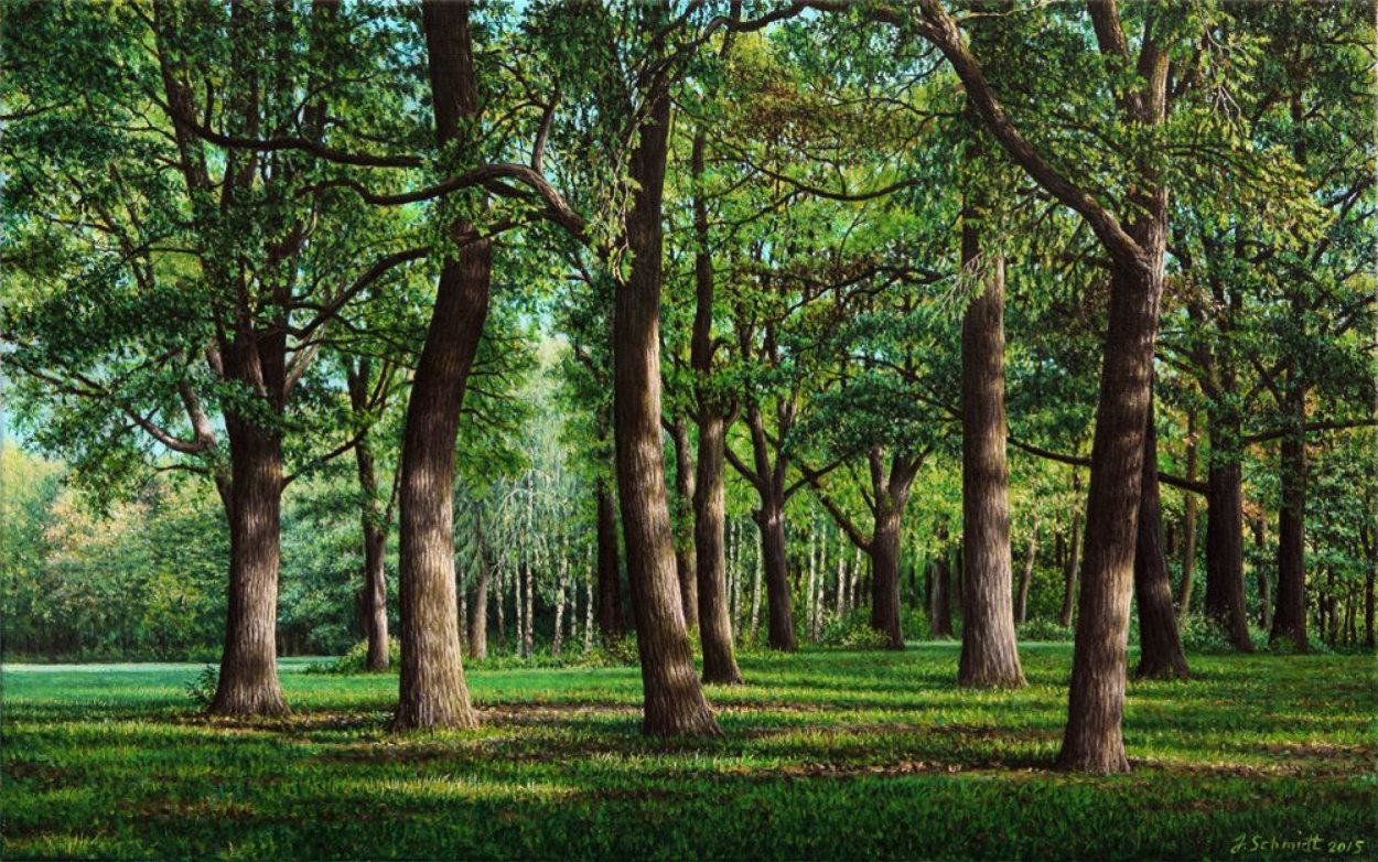 Широколиственные леса Дубрава