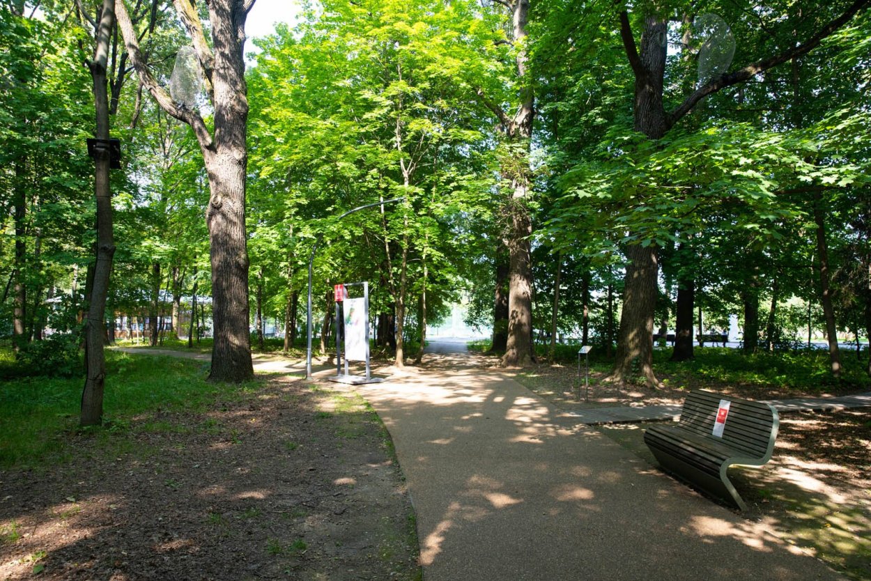 Дубовый лес Дубрава