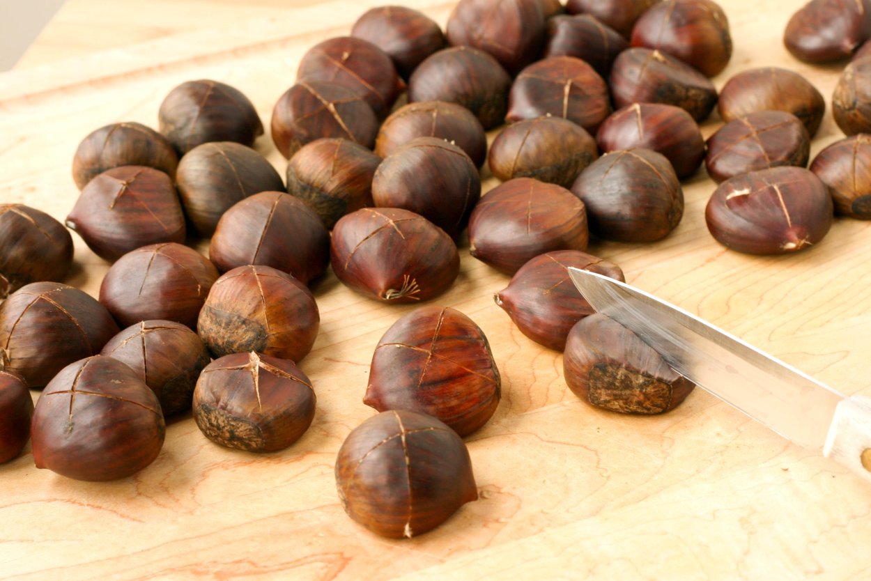 Сорт съедобного каштана