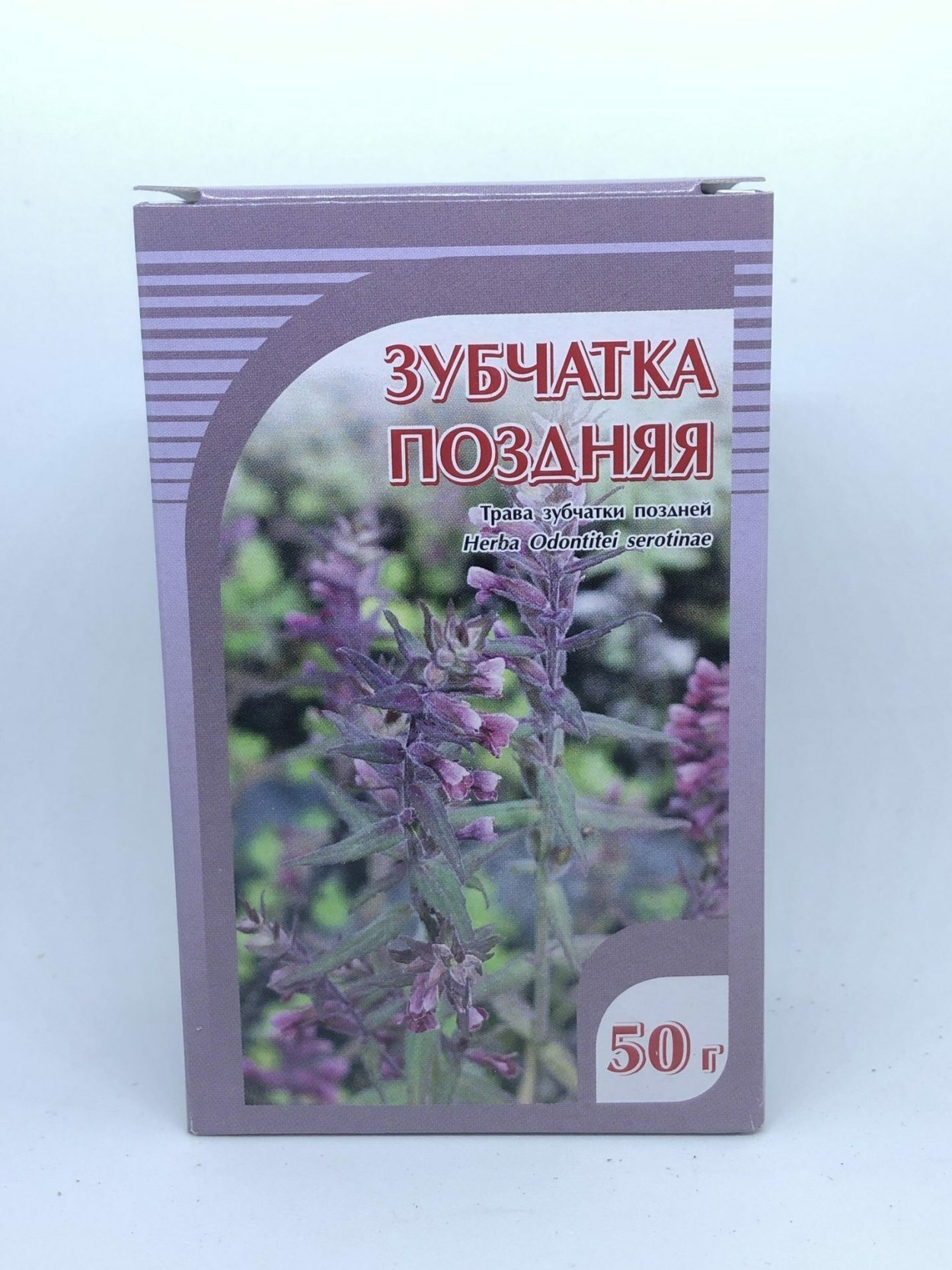 Зубчатка обыкновенная формула цветка