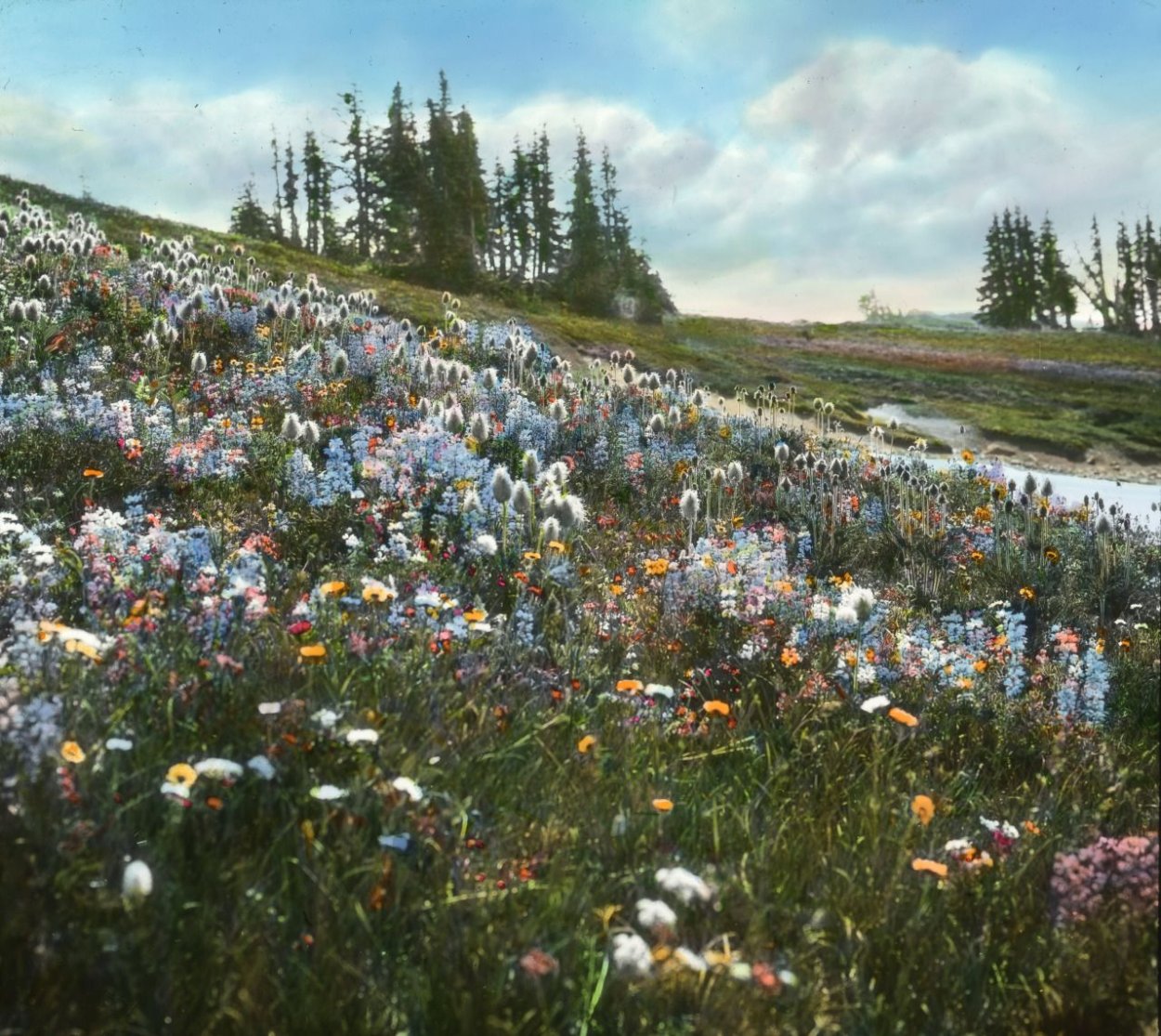 Природа в пастельных тонах