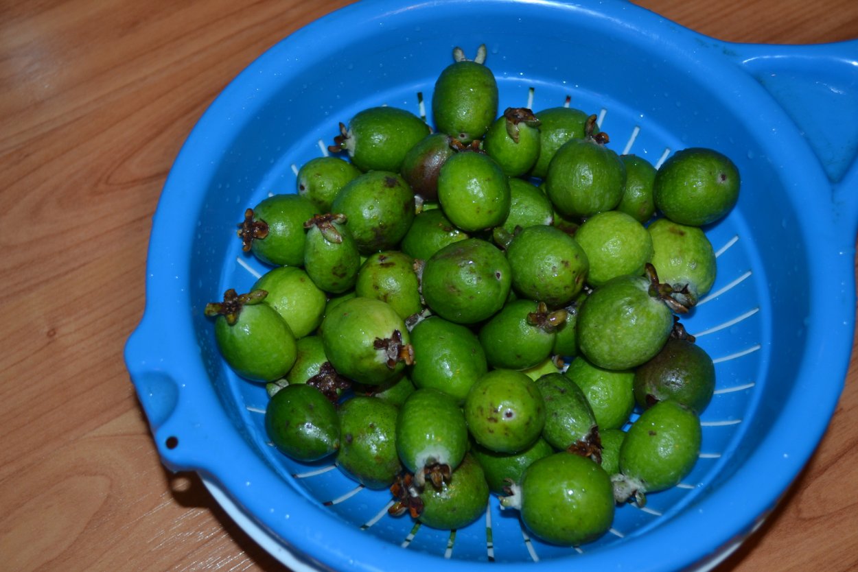 Водка из фейхоа