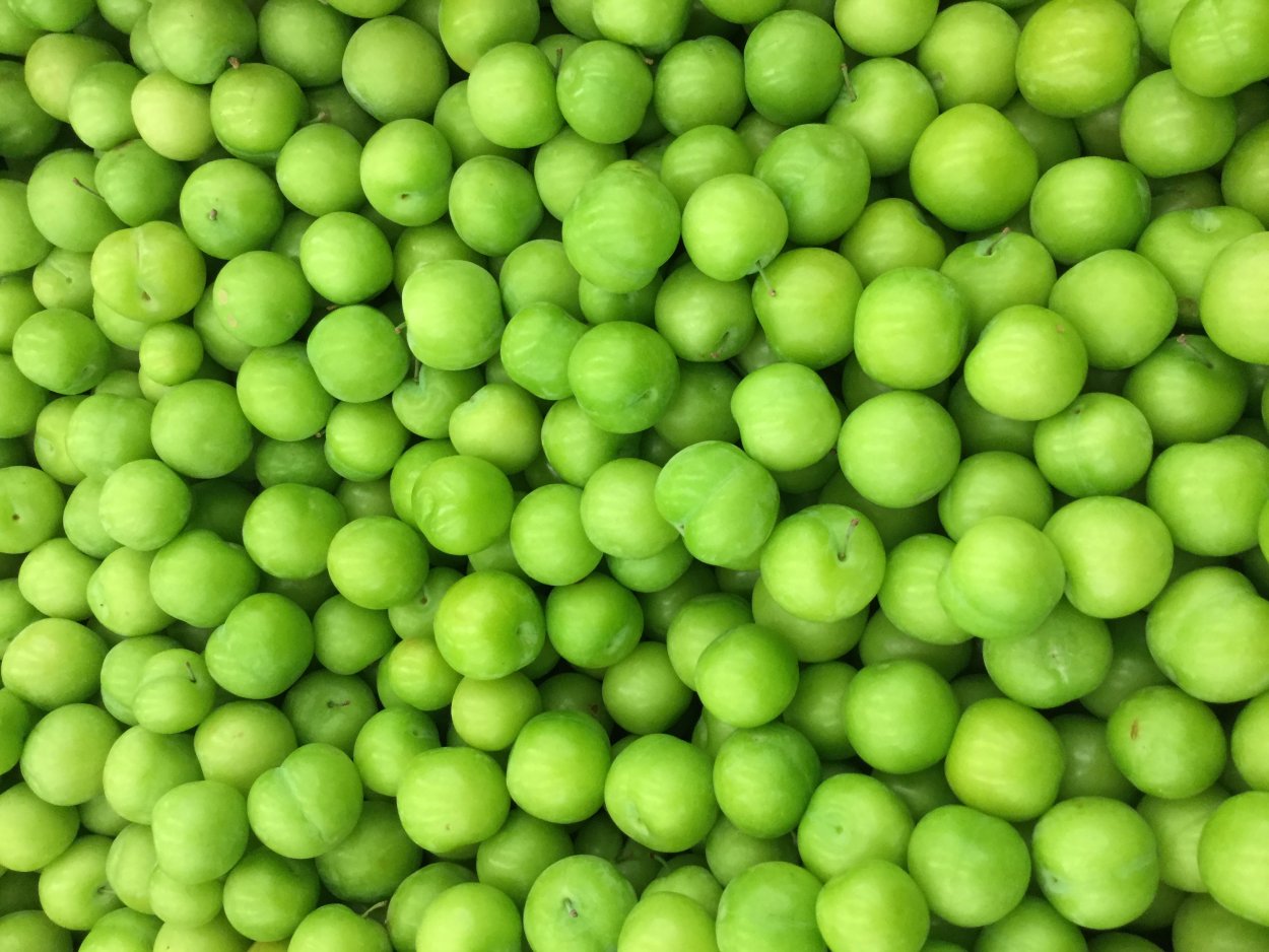 Алыча зеленая