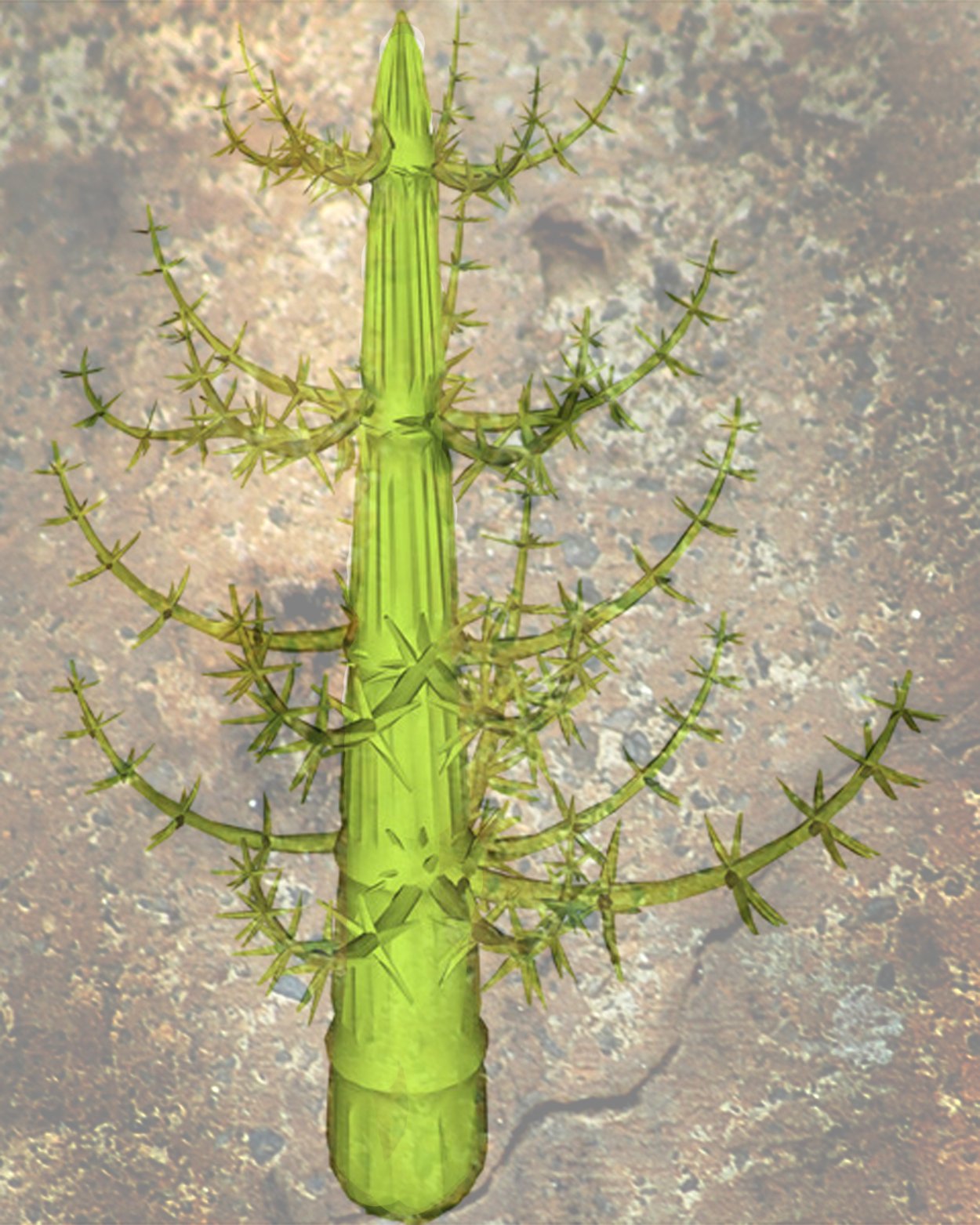 Каламиты Хвощевидные