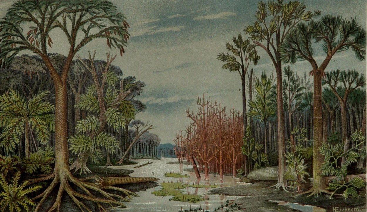 Мезозойская Эра Юрский период растения