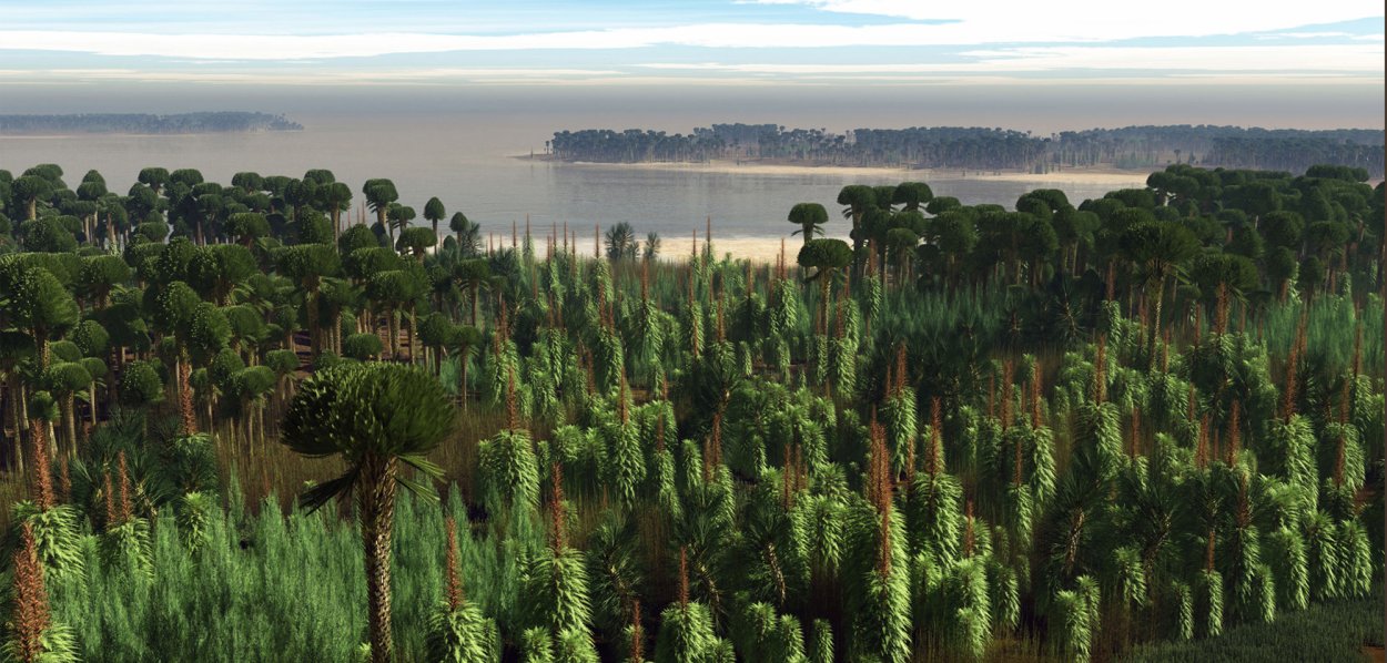 Каменноугольный период палеозойской эры растения