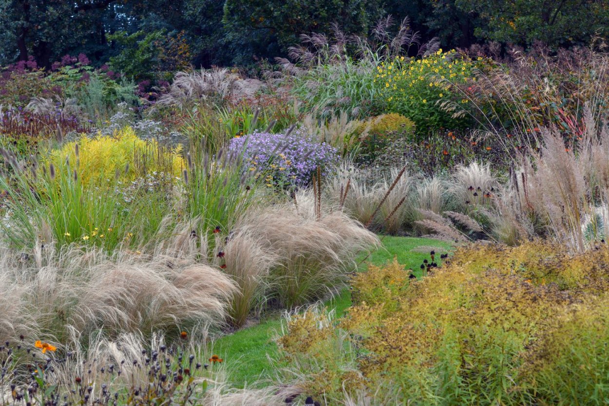 Питер Удольф сады