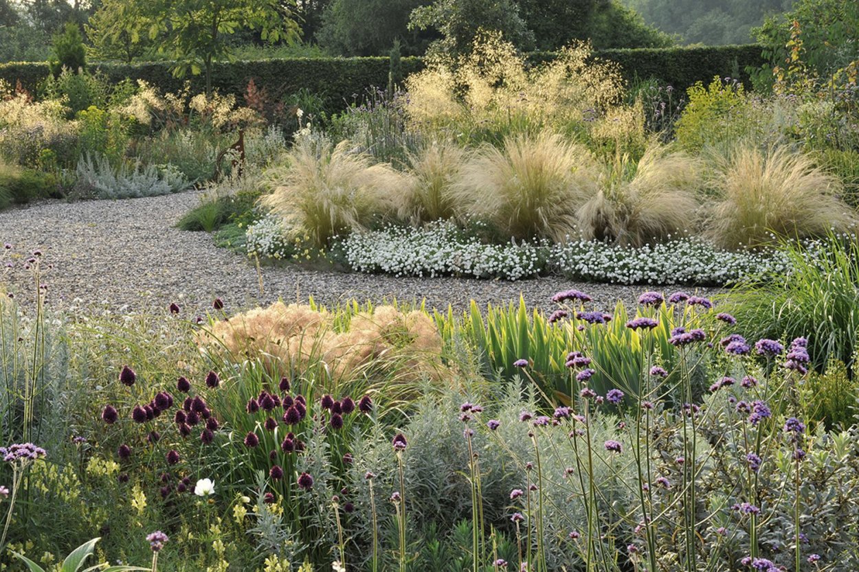 Вейник и шалфей