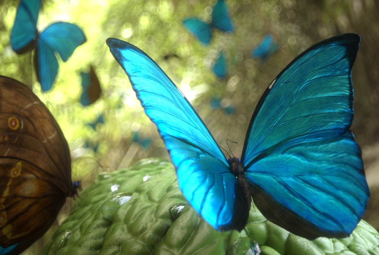 Блю Морфо бабочка Легенда