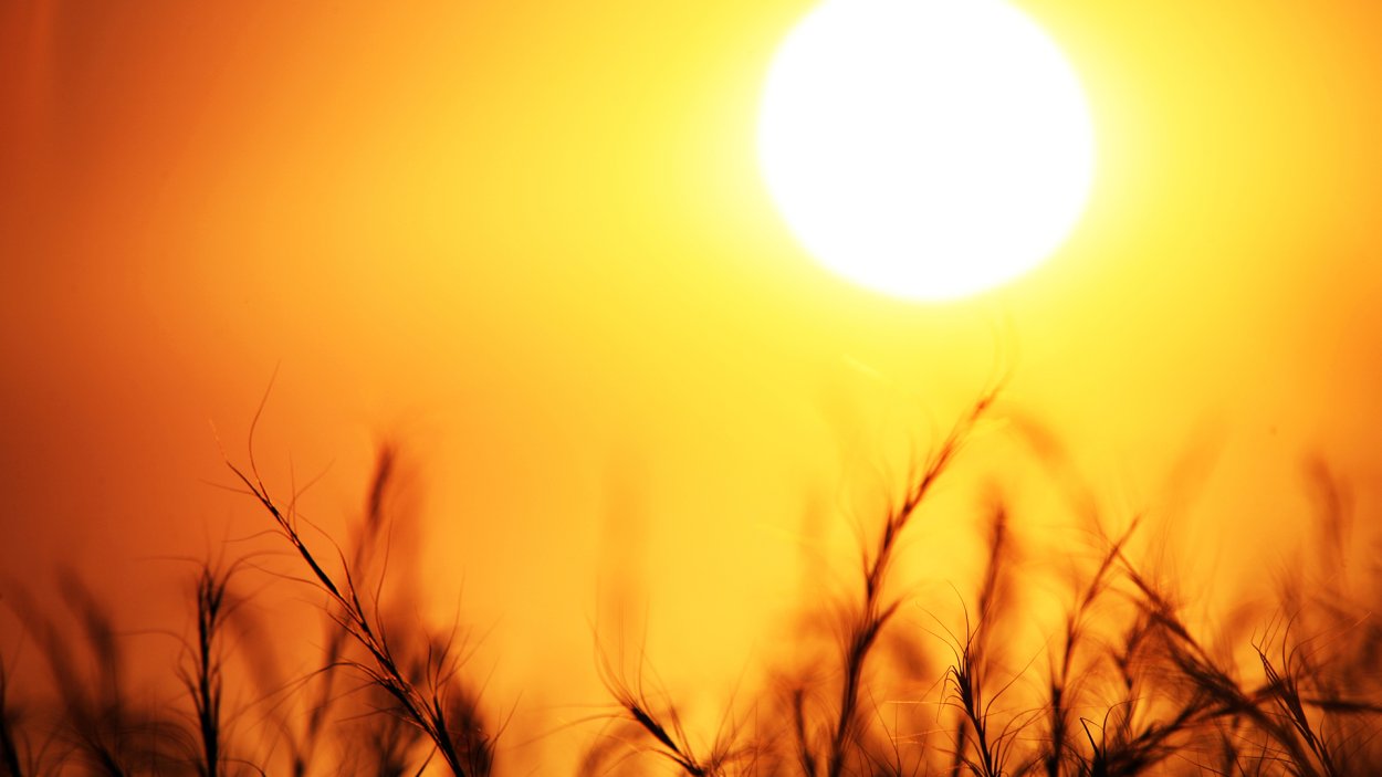 Утро природа