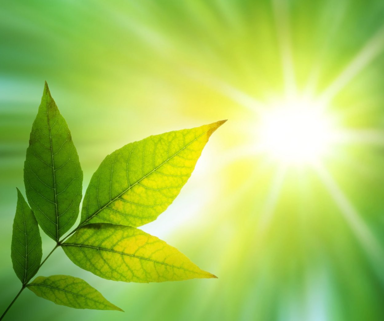 Девушка в лучах солнца