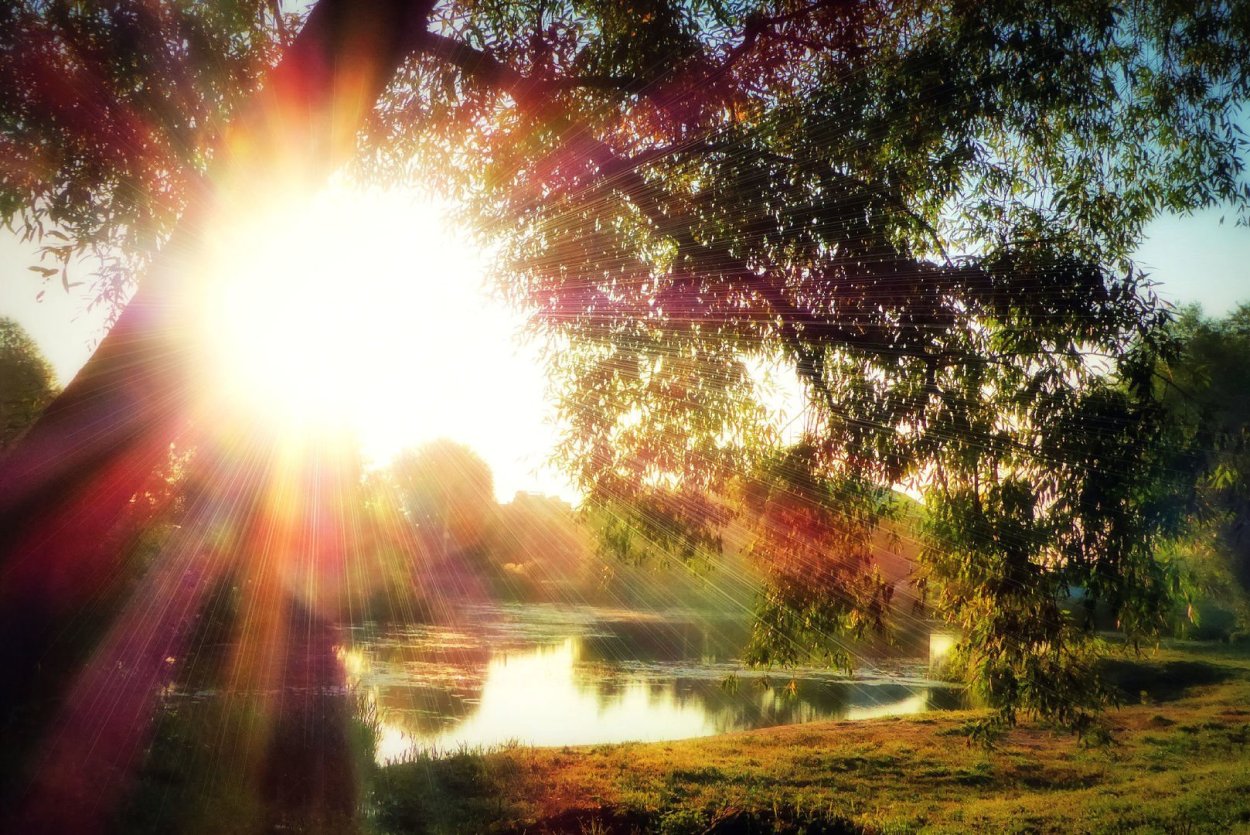 Солнце осенью