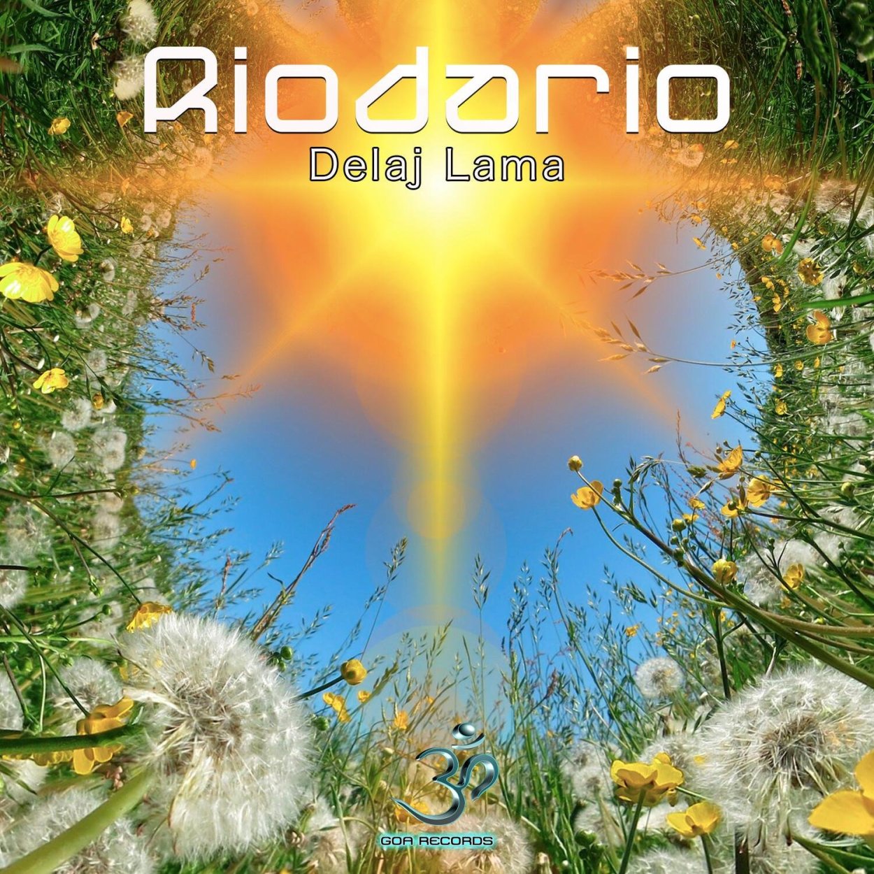 Солнце светит утром