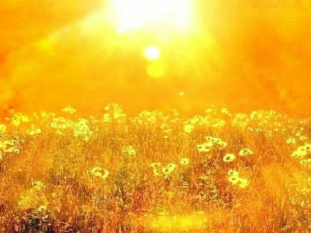 Солнце рассвет