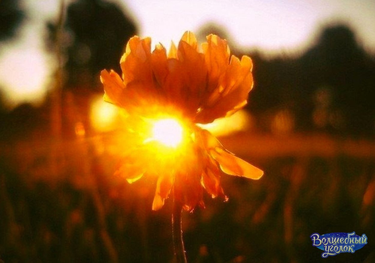 Яркое солнце