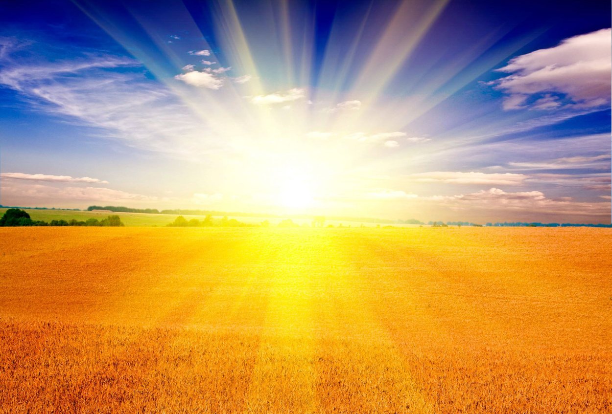 Тепло и солнечно