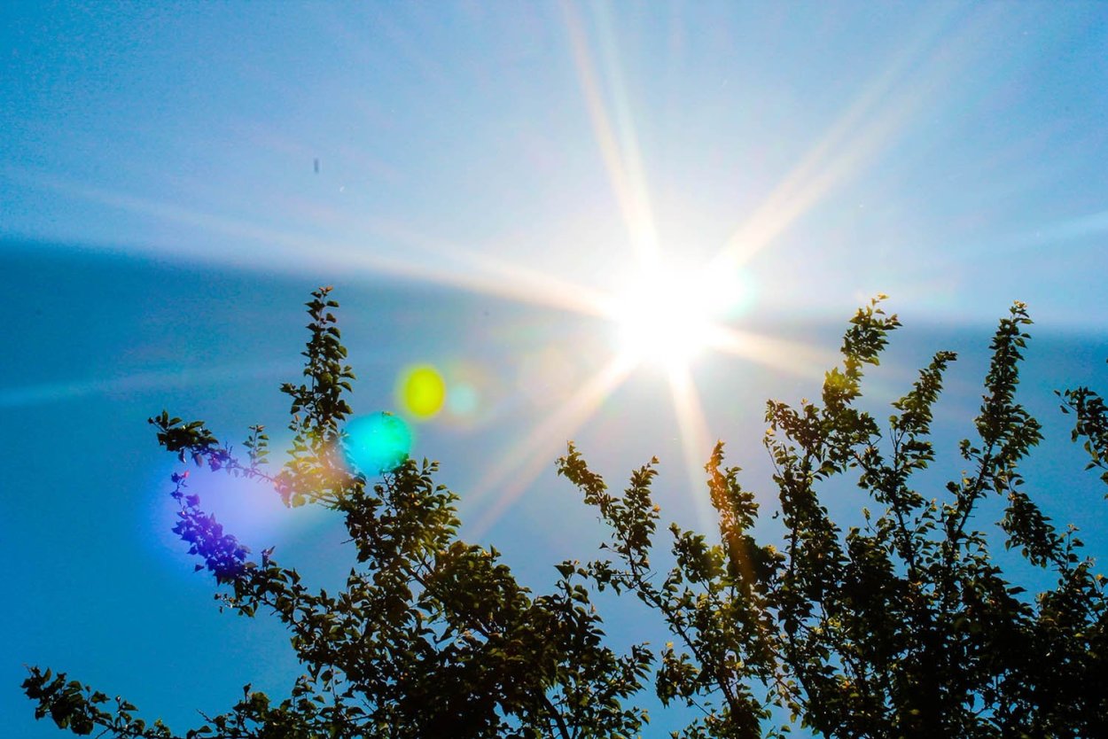 Солнце радость