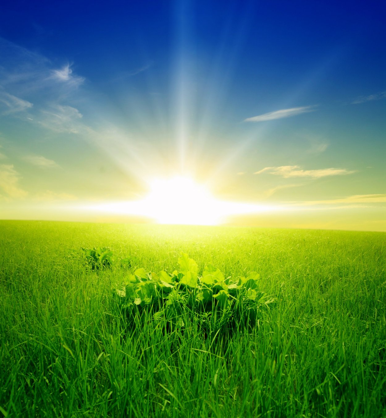 Счастливая девушка