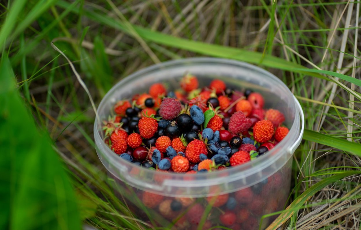 Ягодный микс