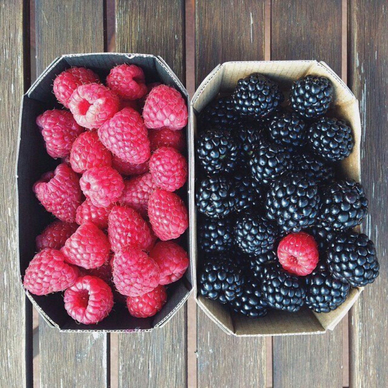 Ежевика для инстаграмма