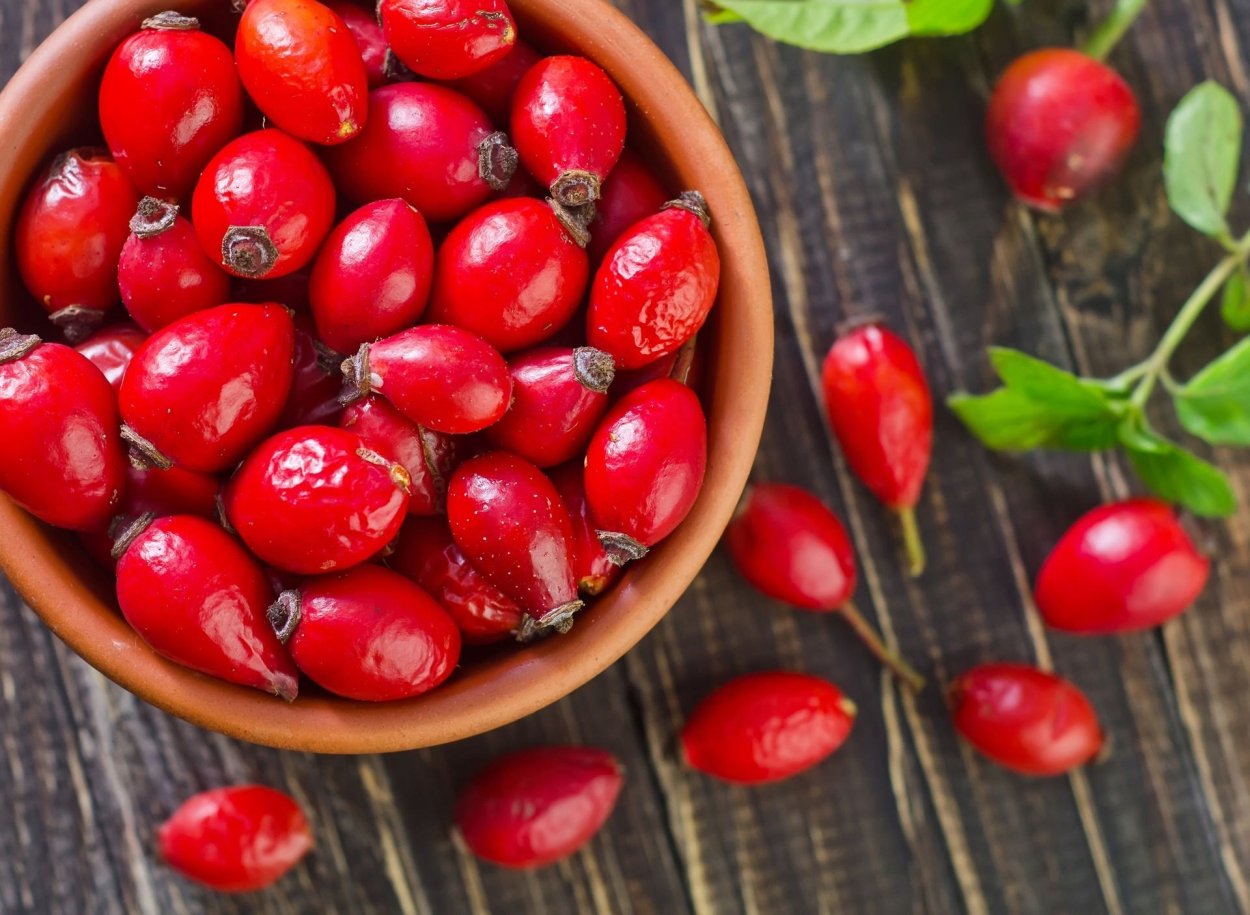 Кизил, шиповник Лесной