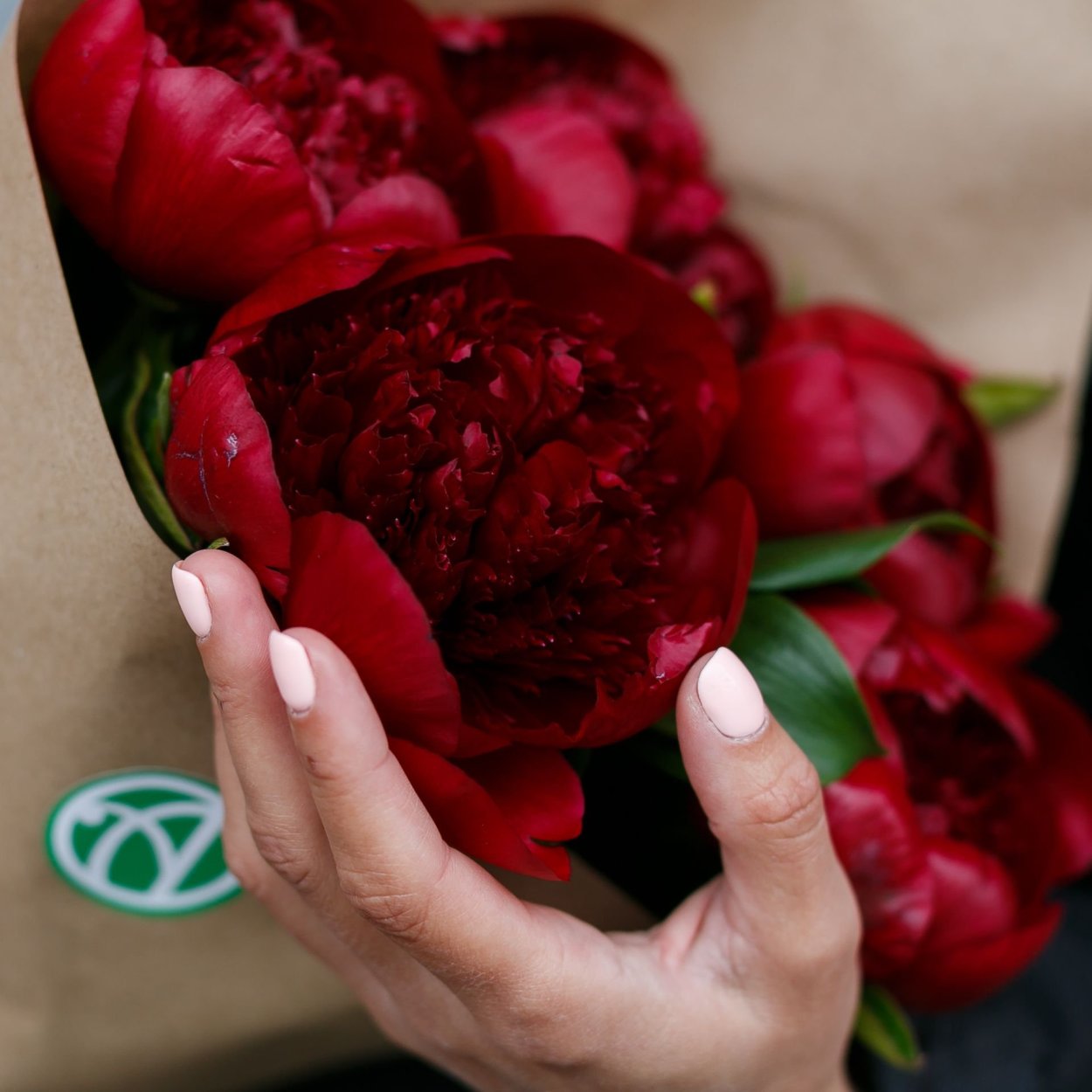 Пион ред Шарм