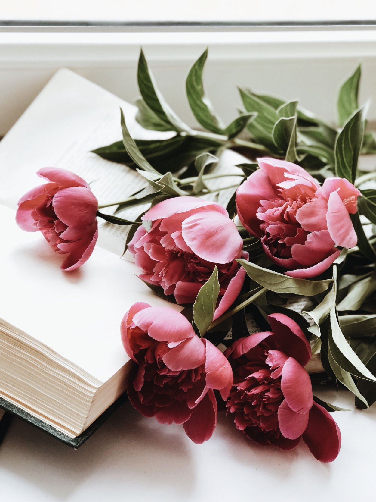 Книга цветы