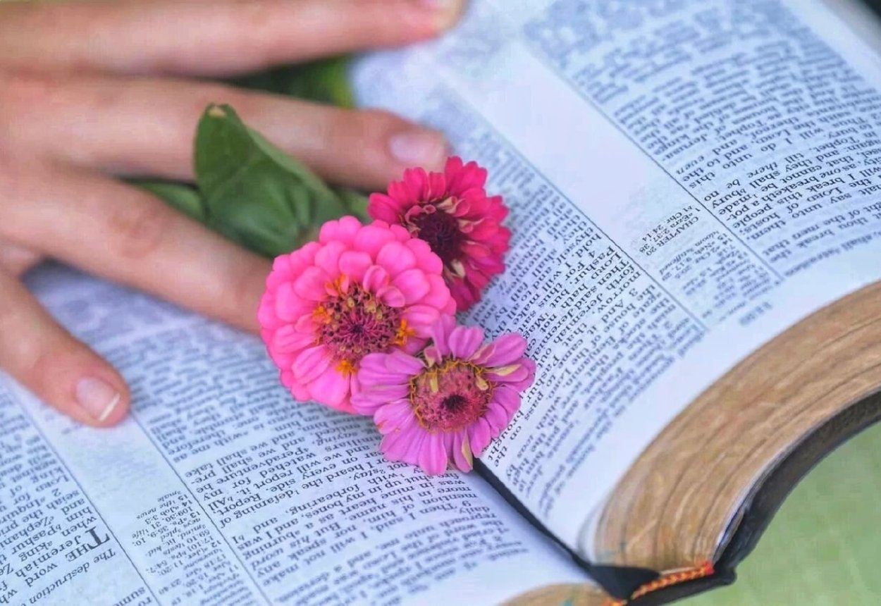 Библия и цветы