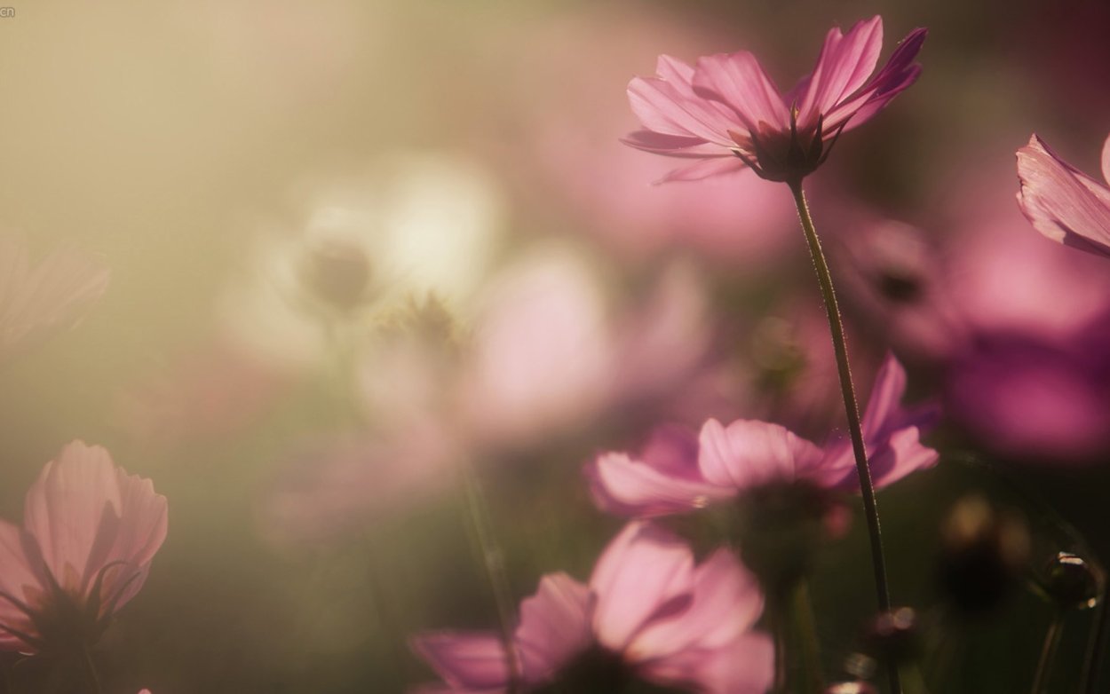 Христианские открытки со стихами из Библии