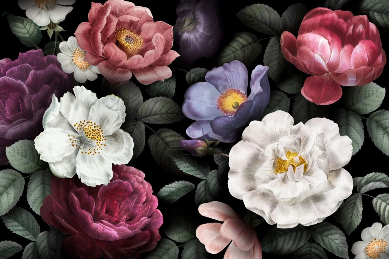 Студия эстетики взгляда millihelen Studio,