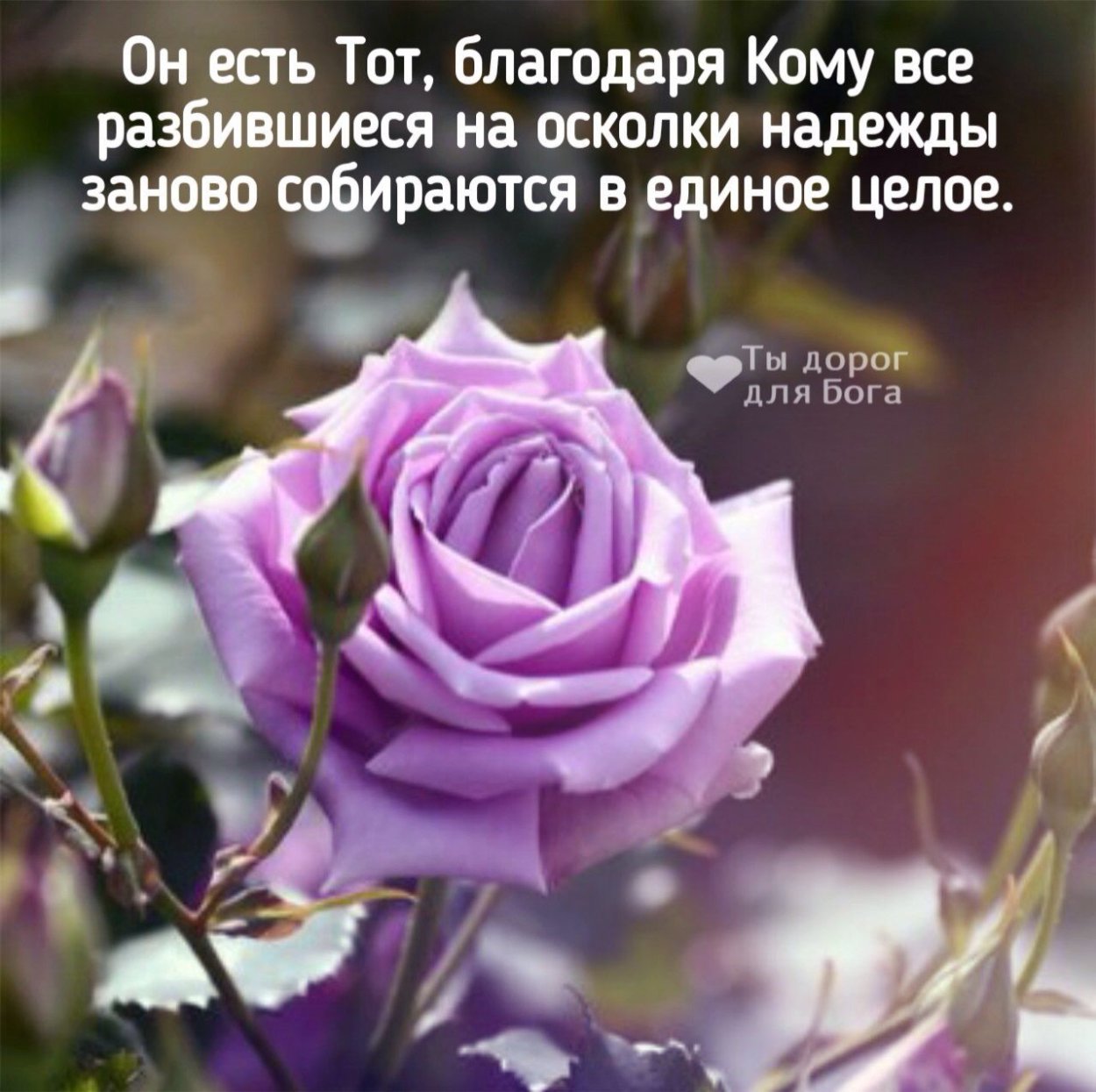 Христианские цветы