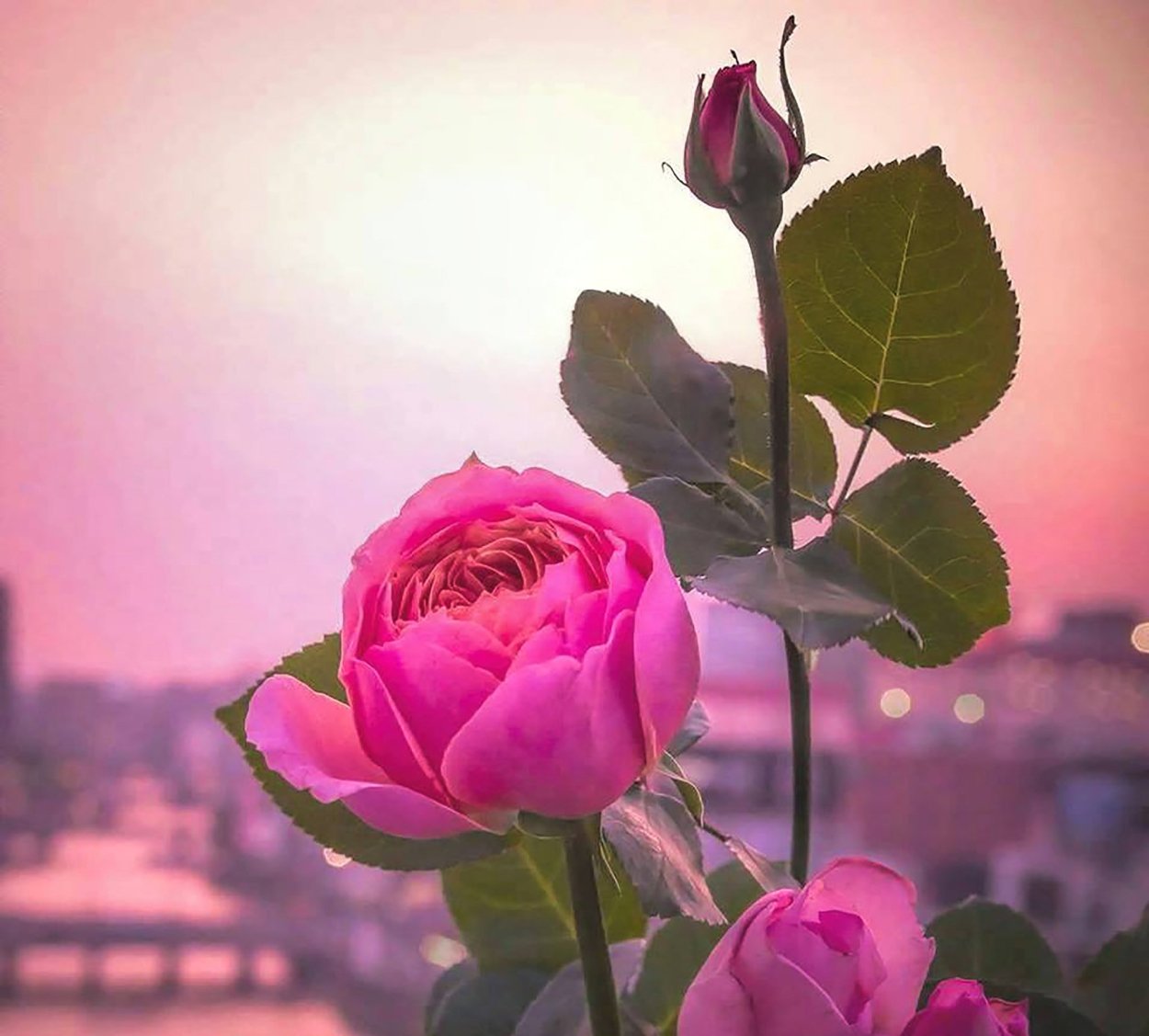 Высказывания о Боге