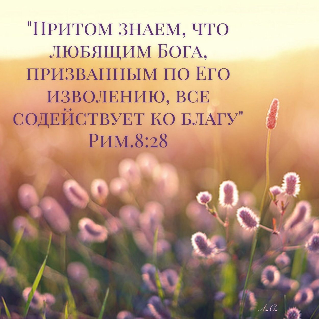 Мудрость Христианская