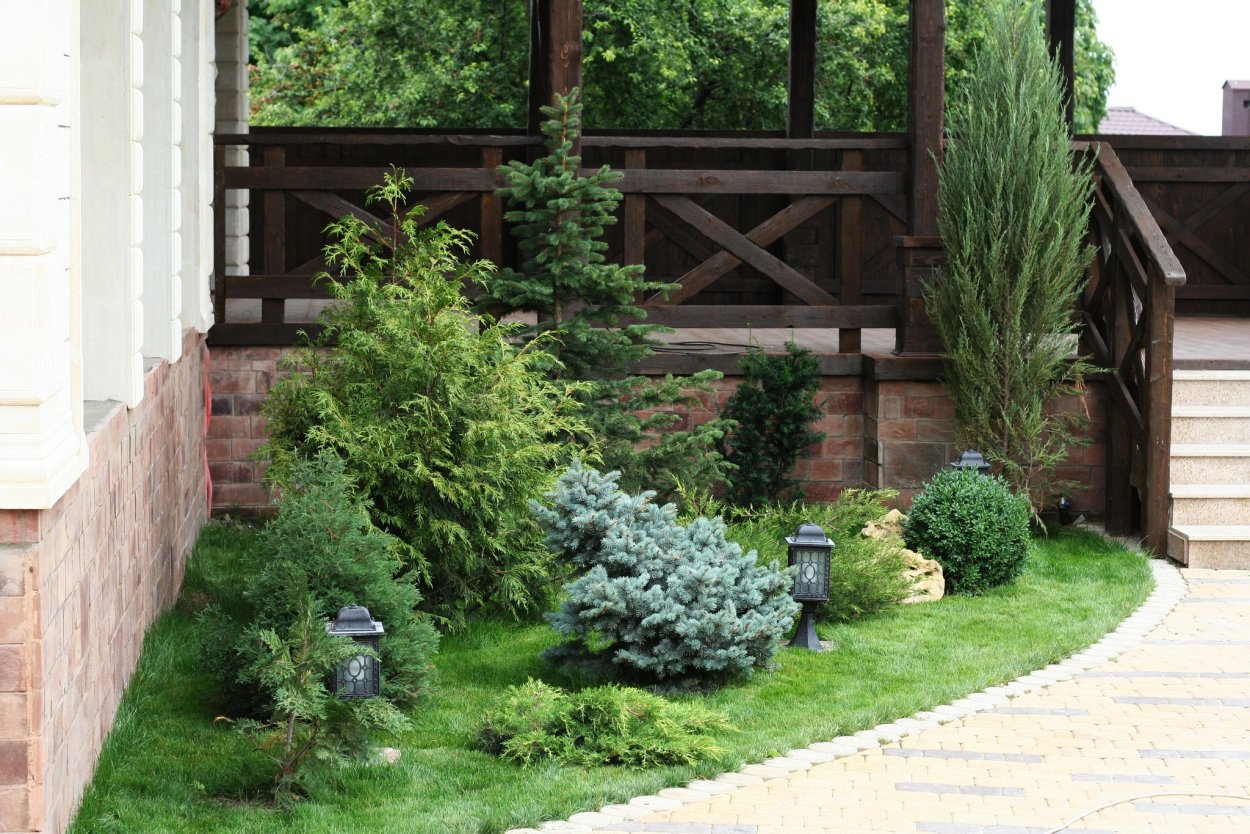 Туя Смарагд в ландшафтном