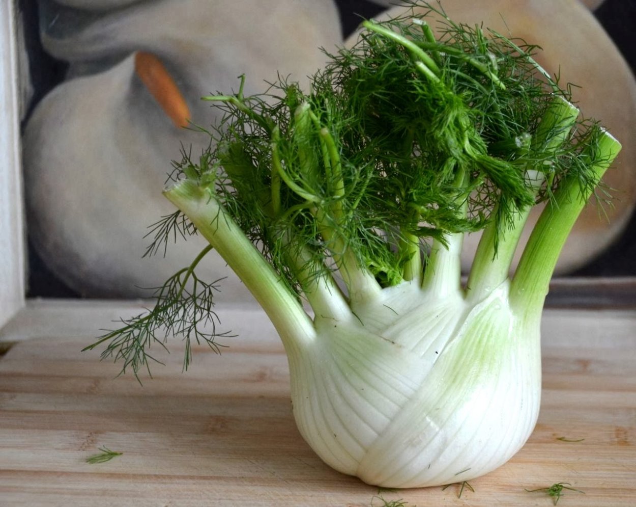 Фенхель на белом фоне