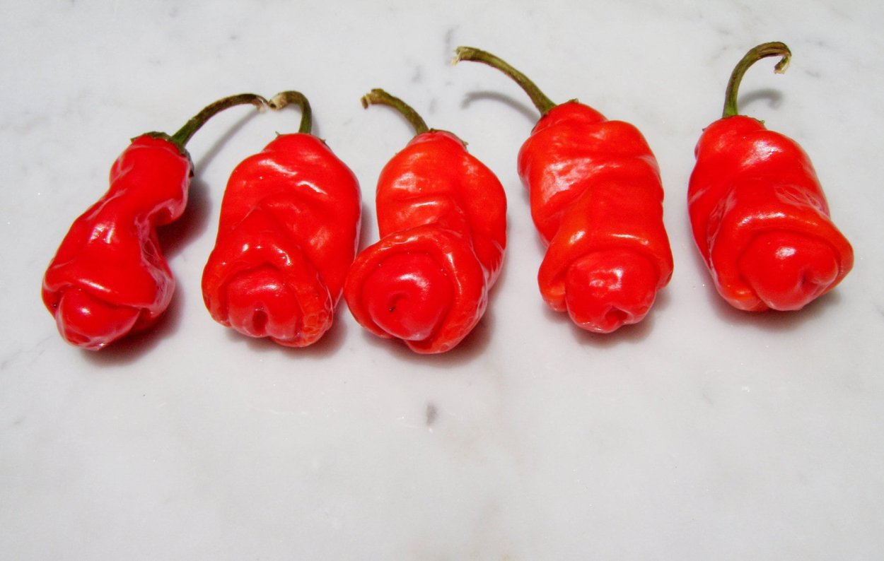 Перец Чилли Вилли острота