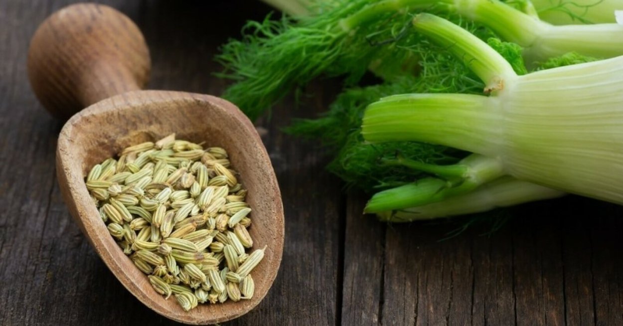 Фенхель семена