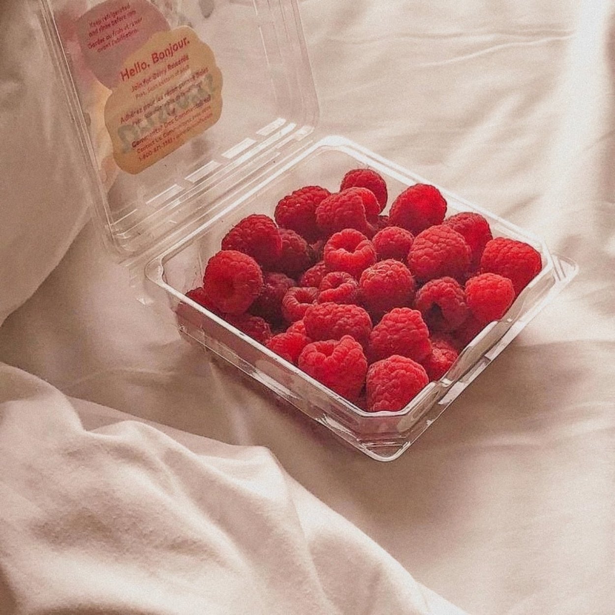 Клубника черешня