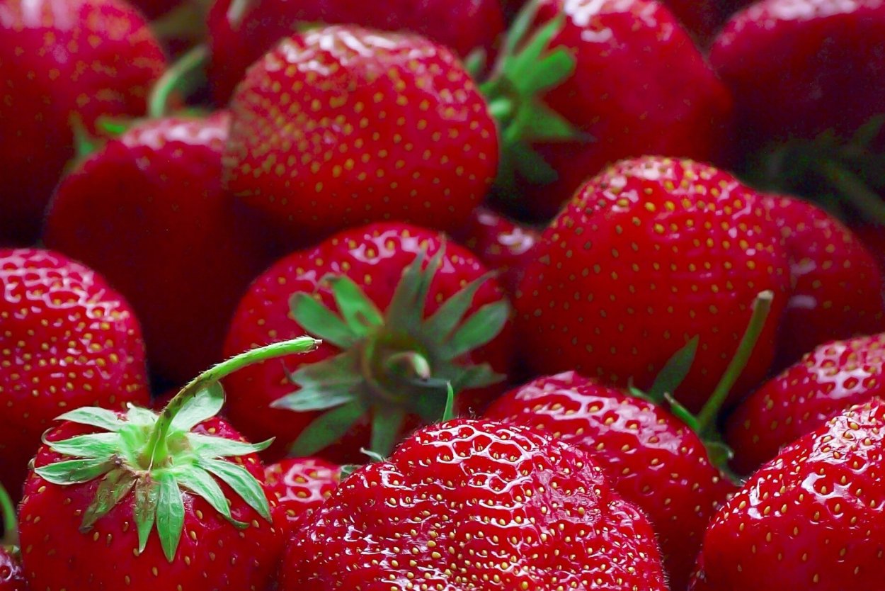 Тарелка с ягодами