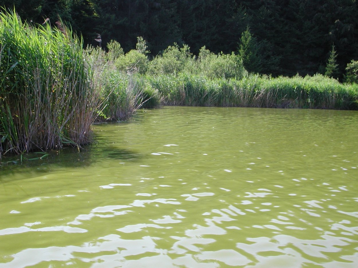 Экоснайпер LS-927m