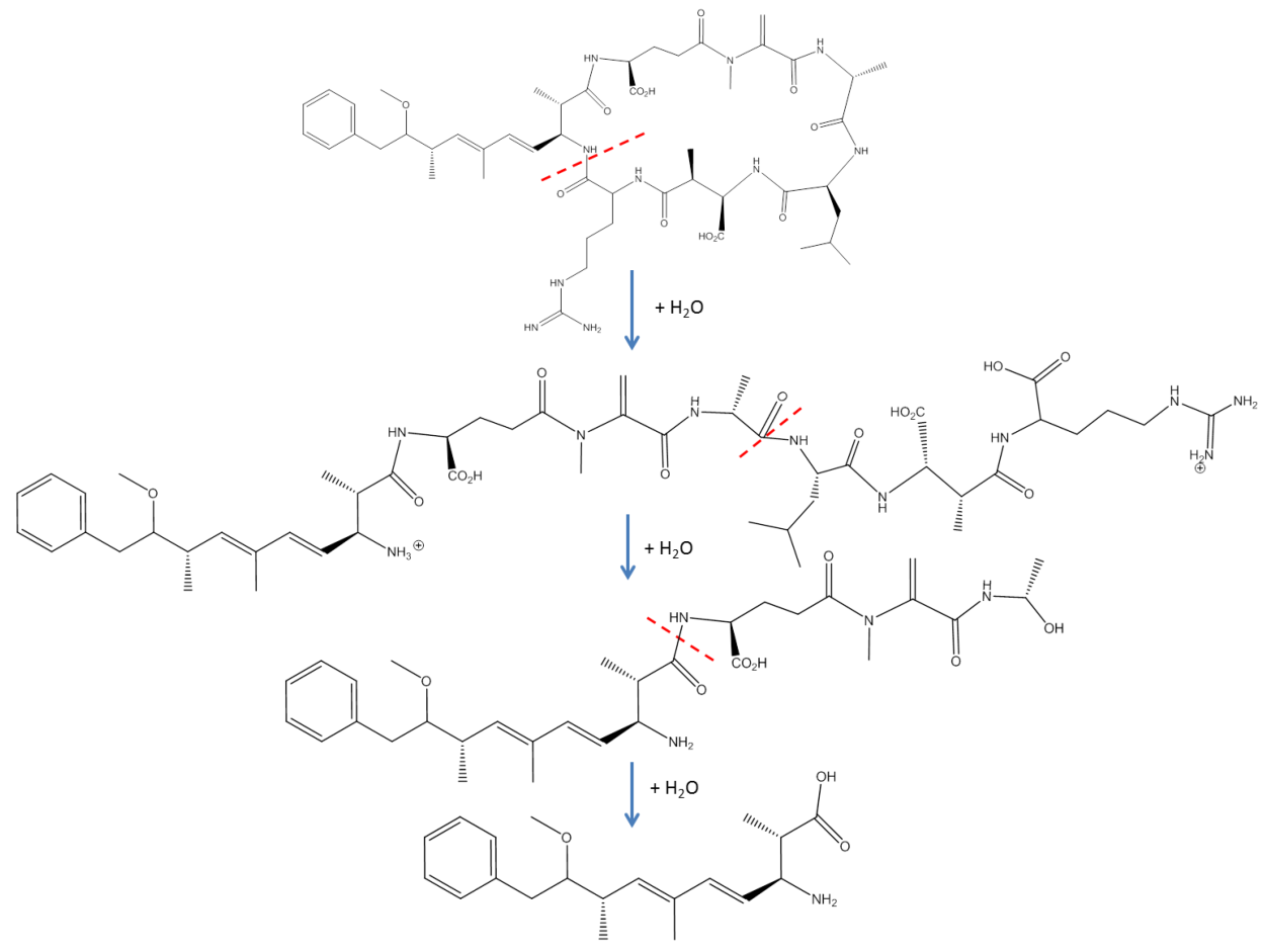 Микроцистин ЛР И рр
