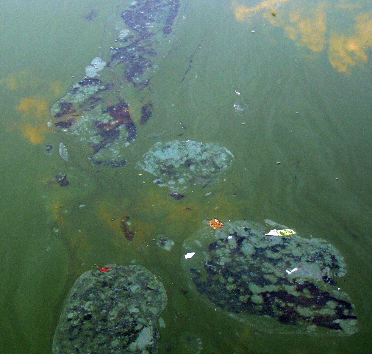 Плазматрон MMG am ls3a