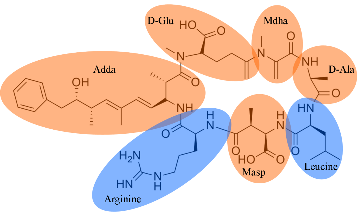 Микроцистин ЛР И рр