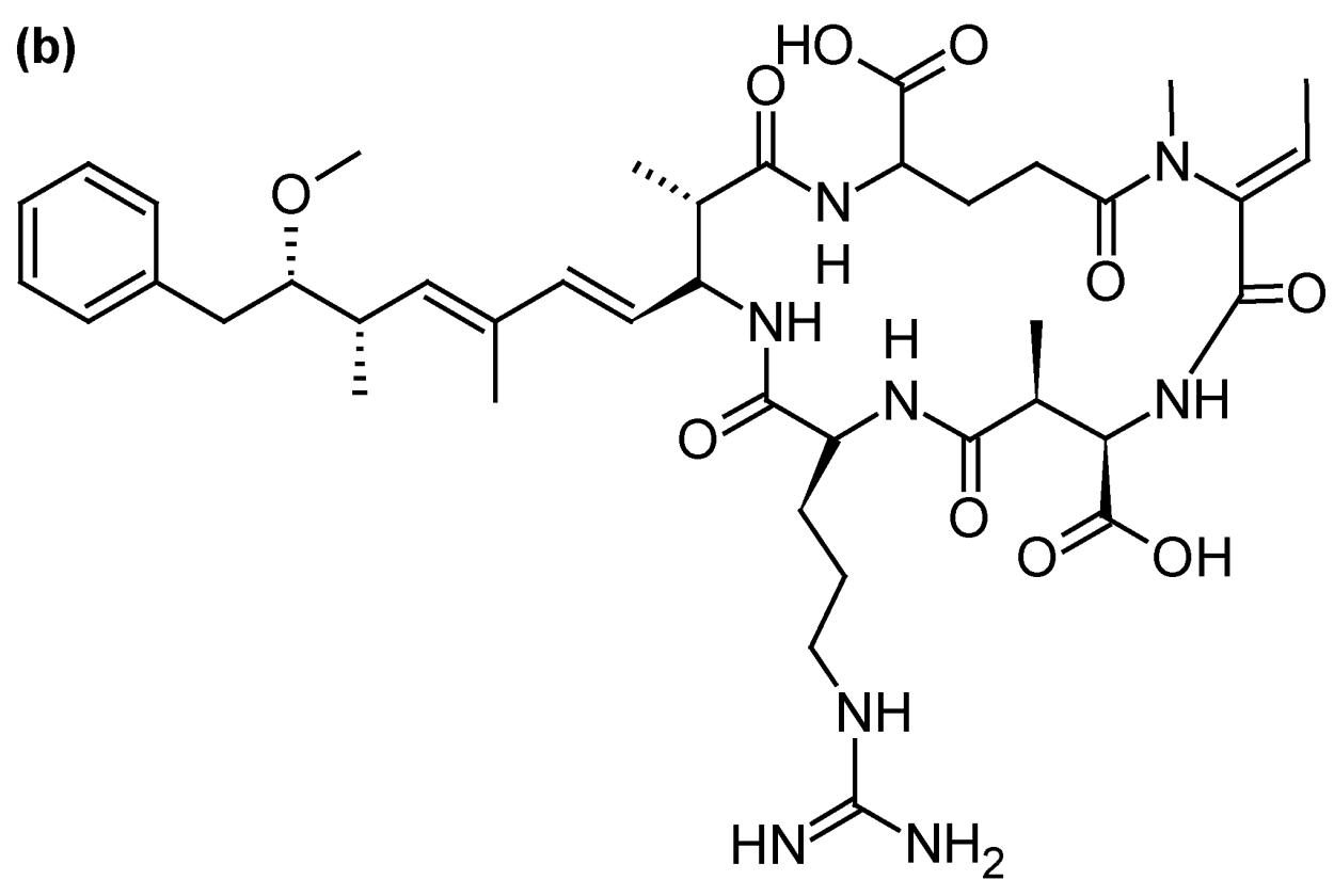 Речные водоросли съедобные