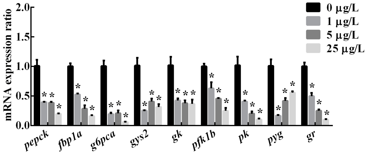 Вавеллит минерал