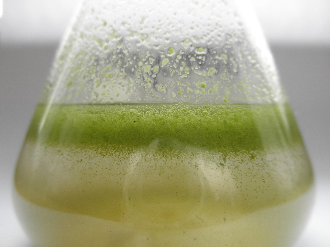 Необычные картинки на рабочий стол